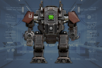 Head front view