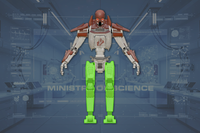 Legs (2) front view