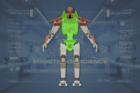 Torso front view
