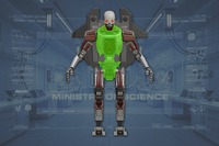 Torso front view