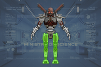Legs (2) front view