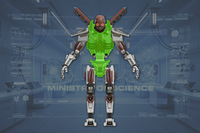 Torso front view