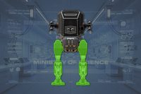 Legs (2) front view
