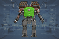 Torso front view