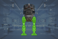 Legs (2) front view