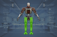 Legs (2) front view