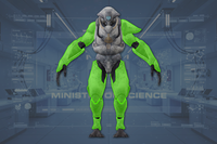 Limb Armor front view