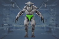 Crotch Armor front view