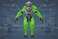 Limb Armor front view