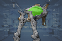Carapace (2) side view