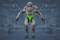 Crotch Armor front view