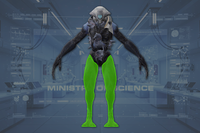Legs (2) front view