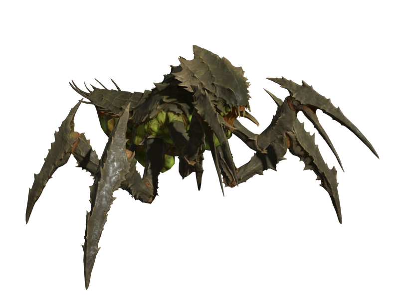 Bile Warrior