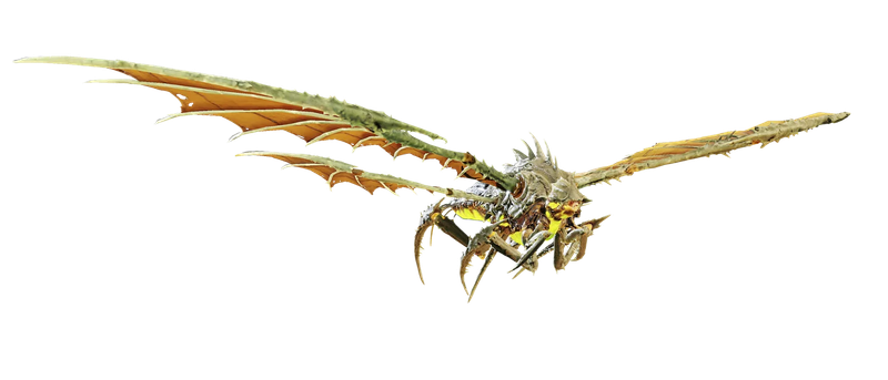 Dragonroach