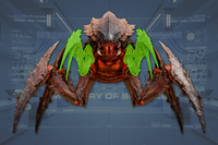 Claws (2) front view
