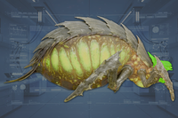 Head side view