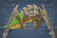 ButtArmor side view