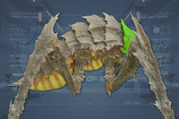Head side view