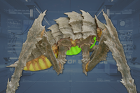 Upper Sac side view