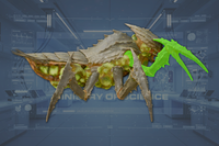 Claws (2) side view