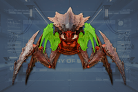Claws (2) front view
