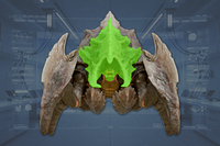 Head front view