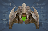 Underside front view