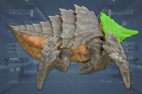 Head side view