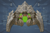 Underside front view
