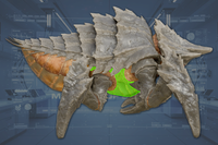 Underside side view