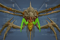 Claws (2) front view