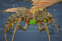 ThoraxInnards side view