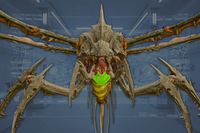 ThoraxSac front view