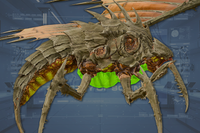 ThoraxSac side view