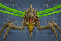 Wings (4) front view