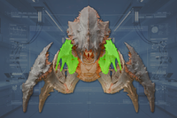 Claws (2) front view