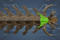 Crown front view