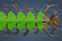Dorsal PlateArmor (6) front view