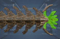 Jaws front view