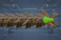 Mandibles (2) side view