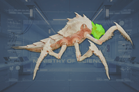 Head side view