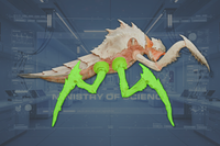 Legs (4) side view