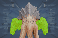 LegFlesh (4) front view