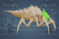 Head side view