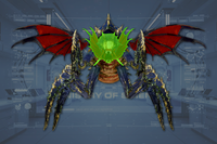 Head front view