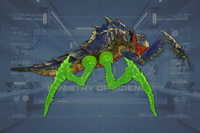 Legs (4) side view