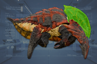 Head side view