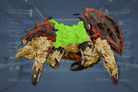 Inner Flesh front view