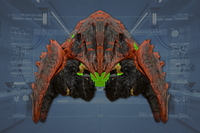 Underside front view