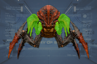Claws (2) front view